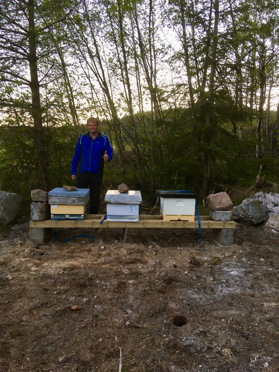 Hvorfor vi startet med bier