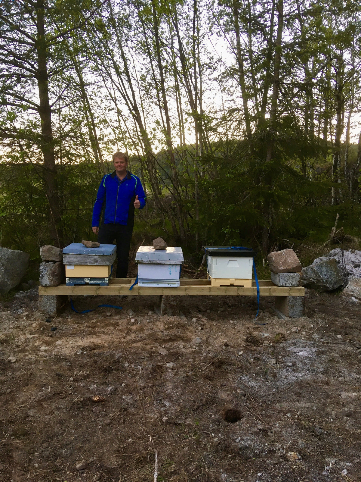 Tre bikuber på bigårdsplassen sammen med Erik. Dette er de første bikubene våre med brunbier.