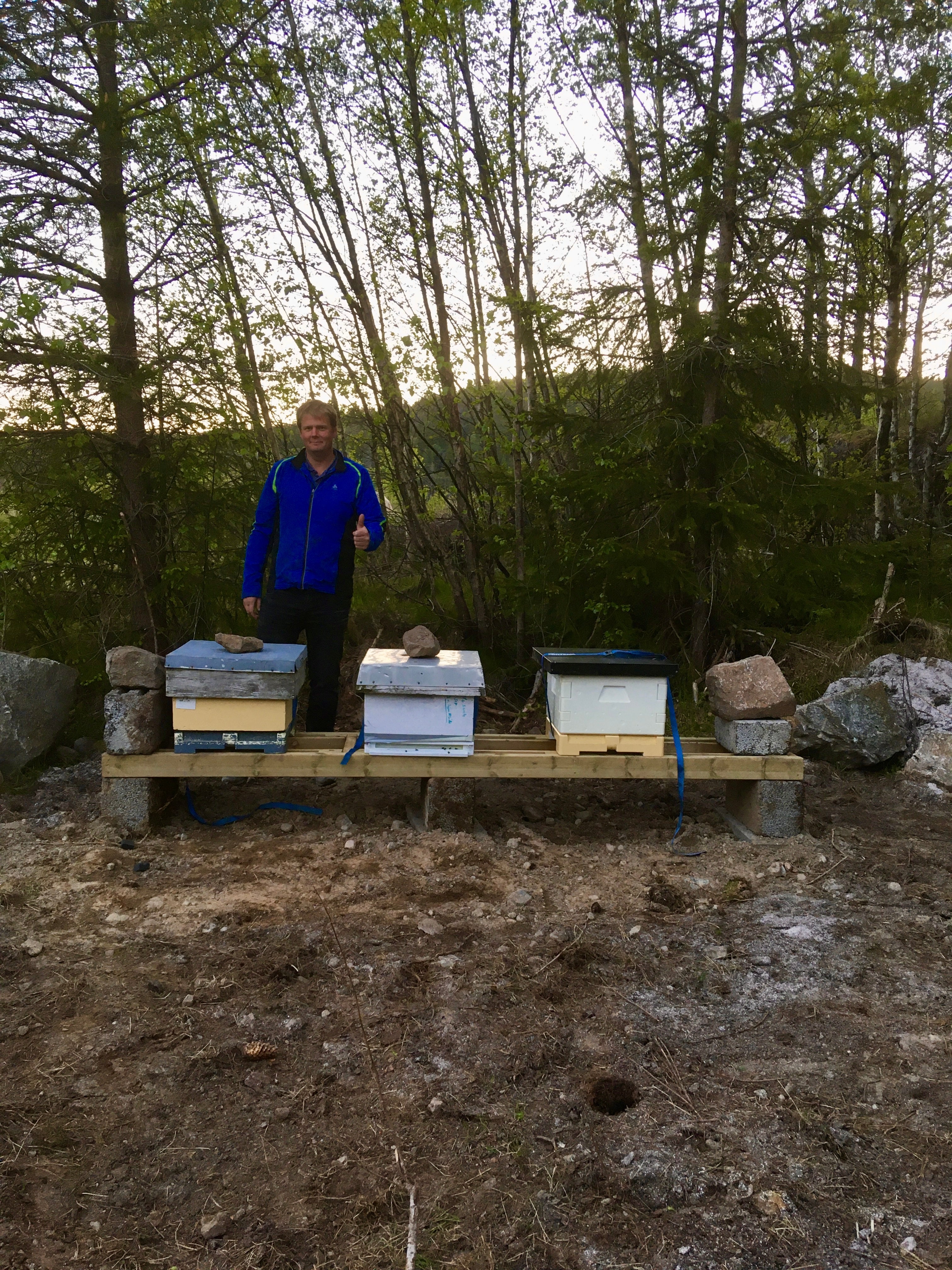 Hvorfor vi startet med bier